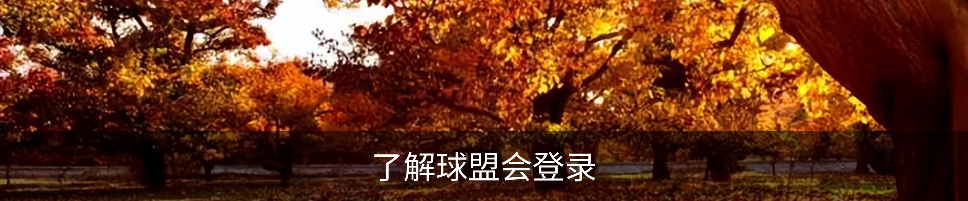 了解球盟会登录